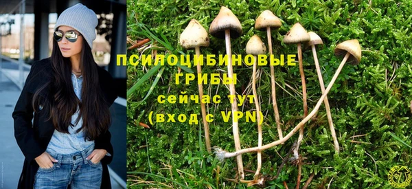 2c-b Верея